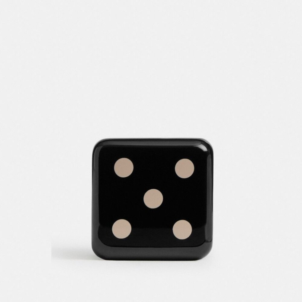 Coach Dice Shoe Charm